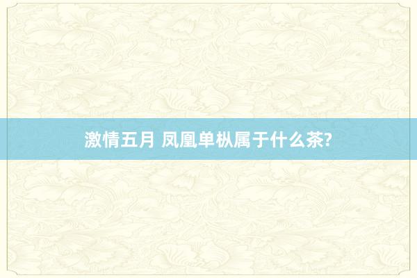 激情五月 凤凰单枞属于什么茶?
