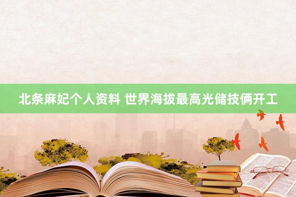 北条麻妃个人资料 世界海拔最高光储技俩开工