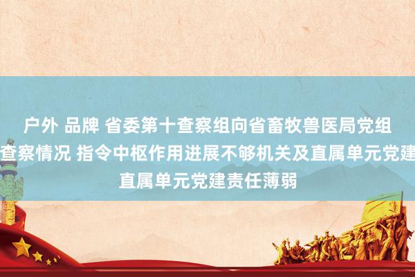 户外 品牌 省委第十查察组向省畜牧兽医局党组反馈专项查察情况 指令中枢作用进展不够机关及直属单元党建责任薄弱