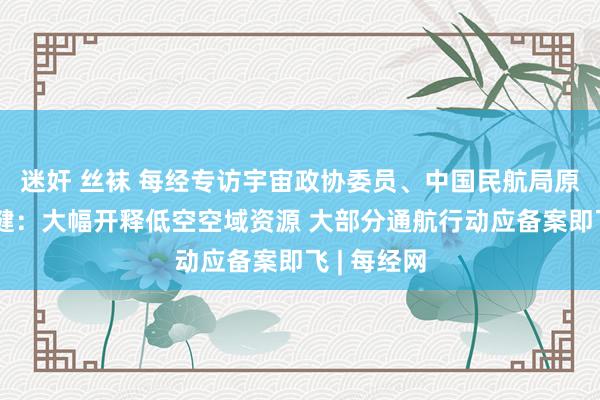 迷奸 丝袜 每经专访宇宙政协委员、中国民航局原副局长李健：大幅开释低空空域资源 大部分通航行动应备案