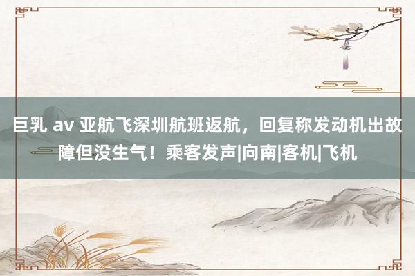 巨乳 av 亚航飞深圳航班返航，回复称发动机出故障但没生气！乘客发声|向南|客机|飞机