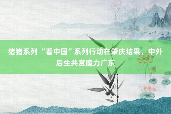 猪猪系列 “看中国”系列行动在肇庆结果，中外后生共赏魔力广东