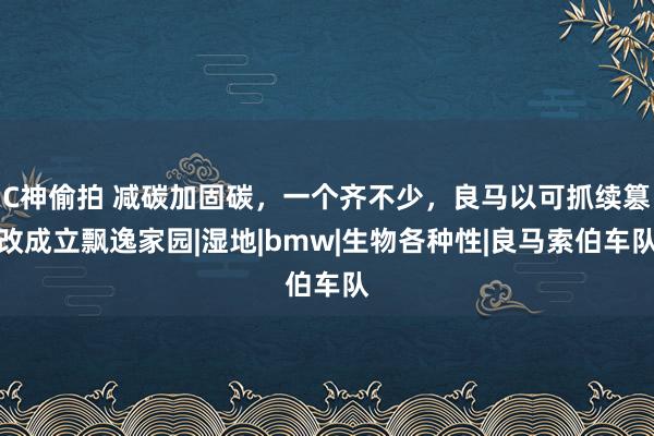 C神偷拍 减碳加固碳，一个齐不少，良马以可抓续篡改成立飘逸家园|湿地|bmw|生物各种性|良马索伯车