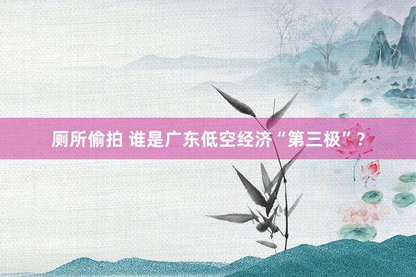 厕所偷拍 谁是广东低空经济“第三极”？