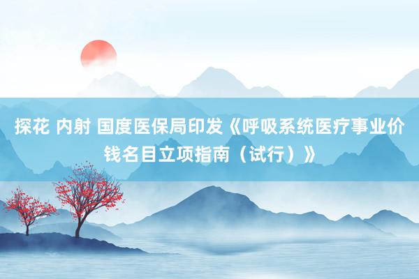 探花 内射 国度医保局印发《呼吸系统医疗事业价钱名目立项指南（试行）》