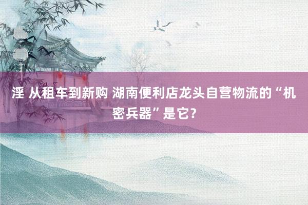 淫 从租车到新购 湖南便利店龙头自营物流的“机密兵器”是它？