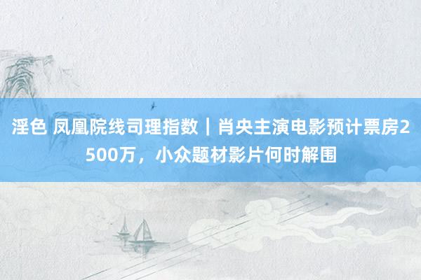 淫色 凤凰院线司理指数｜肖央主演电影预计票房2500万，小众题材影片何时解围