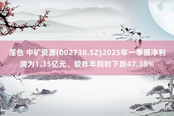 淫色 中矿资源(002738.SZ)2025年一季报净利润为1.35亿元、较昨年同时下跌47.38%