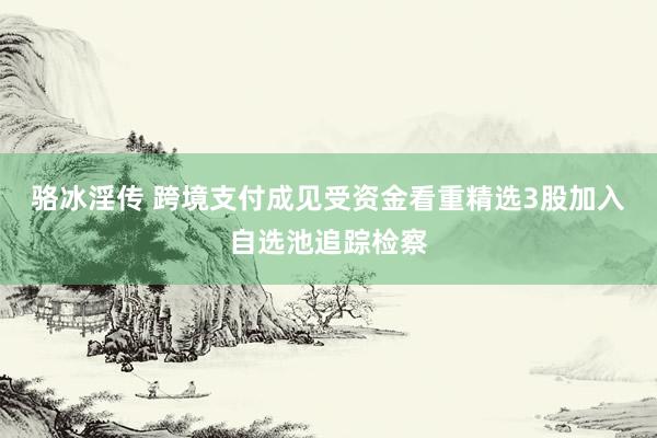 骆冰淫传 跨境支付成见受资金看重精选3股加入自选池追踪检察