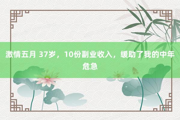 激情五月 37岁,10份副业收入,缓助了我的中年危急