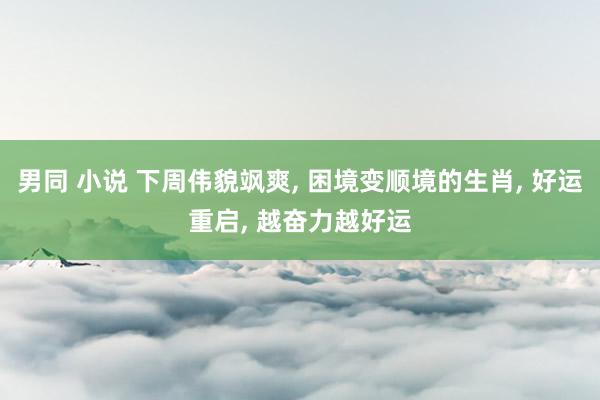 男同 小说 下周伟貌飒爽, 困境变顺境的生肖, 好运重启, 越奋力越好运